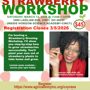 Strawberry Growing Workshop